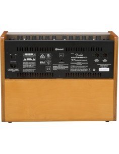 Fender Acoustic 100 Amplifier 2