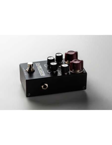 DSM & Humboldt ClearComp Compressor