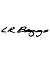 LR Baggs